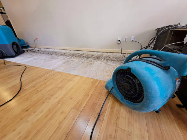 Professional Flood Damage Cleanup technician working in Algonac, MI